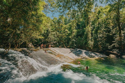 Atherton Tablelands Waterfalls And Rainforest Day Tour Departing Cairns - Kingaroy Accommodation 0