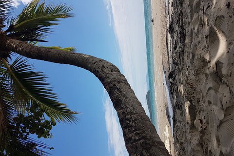 Airport Transfers Between Cairns Airport And Cairns City - Kingaroy Accommodation 4