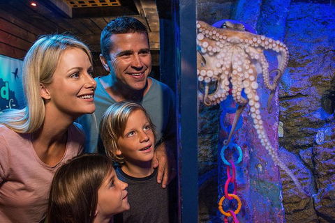 SEA LIFE Sunshine Coast Aquarium Entrance Ticket - Kingaroy Accommodation 5