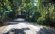 Cairns To Cooktown 4WD Tour - thumb 2
