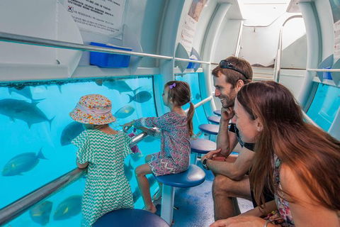 Cruise To Moore Reef Pontoon And Return Helicopter Flight From Cairns - Kingaroy Accommodation 2