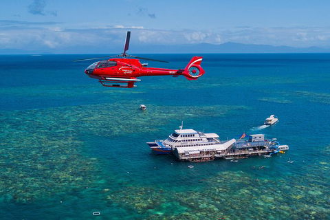 Cruise To Moore Reef Pontoon And Return Helicopter Flight From Cairns - Kingaroy Accommodation 0
