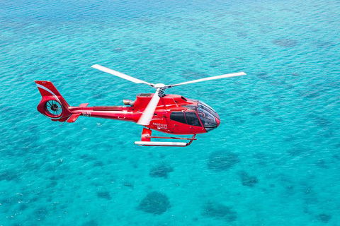 Cruise To Moore Reef Pontoon And Return Helicopter Flight From Cairns - Kingaroy Accommodation 7