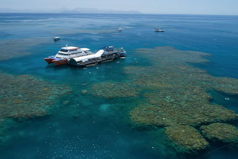 Cruise To Moore Reef Pontoon And Return Helicopter Flight From Cairns - Kingaroy Accommodation 5