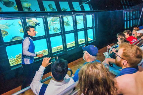Cruise To Moore Reef Pontoon And Return Helicopter Flight From Cairns - Kingaroy Accommodation 3