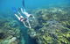 Cruise To Moore Reef Pontoon And Return Helicopter Flight From Cairns - thumb 4