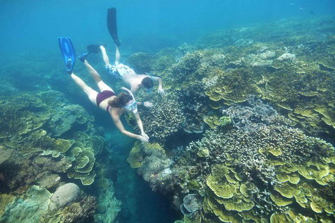 Cruise To Moore Reef Pontoon And Return Helicopter Flight From Cairns - Kingaroy Accommodation 4