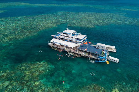 Cruise To Moore Reef Pontoon And Return Helicopter Flight From Cairns - Kingaroy Accommodation 8