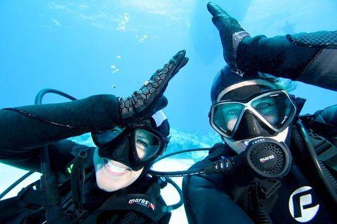 Coral Sea Dreaming: Overnight Dive, Snorkel And Sail Experience From Cairns - Kingaroy Accommodation 3