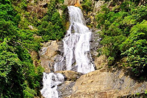 Private Half Day Tour: Exclusive World Heritage Rainforest And Waterfall Tour From Cairns - Kingaroy Accommodation 5