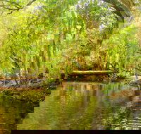 Private Half Day Tour Exclusive World Heritage Rainforest and Waterfall Tour from Cairns - Kingaroy Accommodation