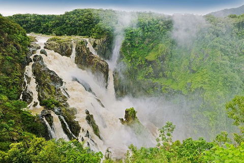 Private Half Day Tour: Exclusive World Heritage Rainforest And Waterfall Tour From Cairns - Kingaroy Accommodation 3