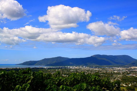 Private Half Day Tour: Exclusive World Heritage Rainforest And Waterfall Tour From Cairns - Kingaroy Accommodation 1