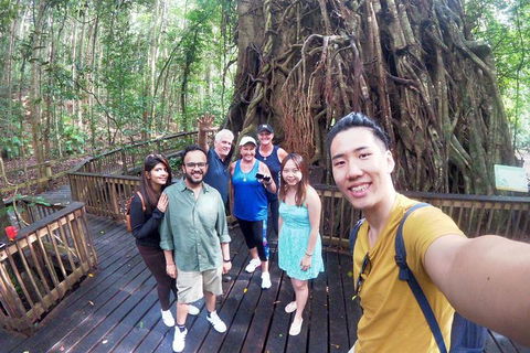 Private Half Day Tour: Exclusive World Heritage Rainforest And Waterfall Tour From Cairns - Kingaroy Accommodation 2