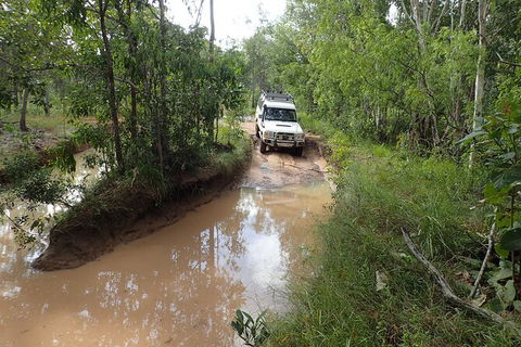 Cairns 4WD Waterfall And Rainforest Tour Including Kuranda Scenic Railway - Kingaroy Accommodation 3