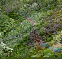 Cairns 4WD Waterfall and Rainforest Tour Including Kuranda Scenic Railway - Kingaroy Accommodation