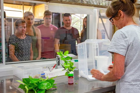 Australian Butterfly Sanctuary - Kingaroy Accommodation 6