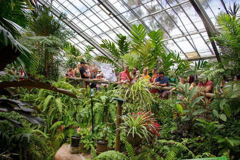 Australian Butterfly Sanctuary - Kingaroy Accommodation 4