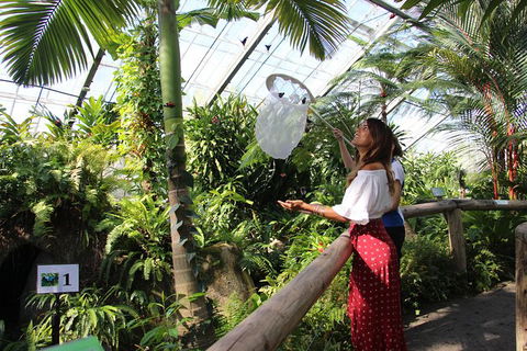 Australian Butterfly Sanctuary - Kingaroy Accommodation 2