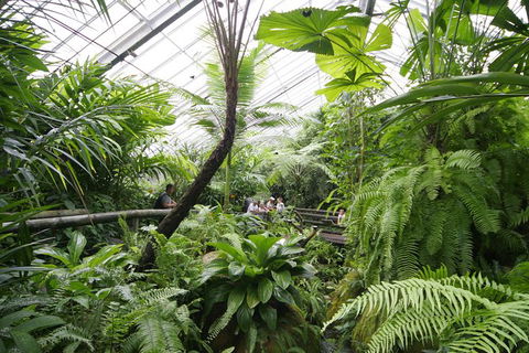 Australian Butterfly Sanctuary - Kingaroy Accommodation 1
