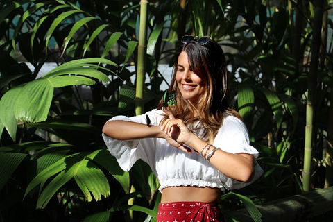 Australian Butterfly Sanctuary - Kingaroy Accommodation 3