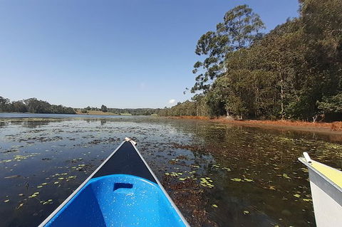 Noosa Hinterland Scenic Canoe Tour - Kingaroy Accommodation 2