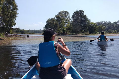Noosa Hinterland Scenic Canoe Tour - Kingaroy Accommodation 6