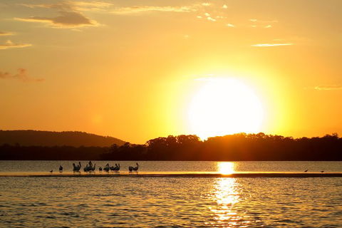 Noosa River Cruise For 3 To 4 People On A Classic Mahogany Speed Boat - 90 Min. - Kingaroy Accommodation 6