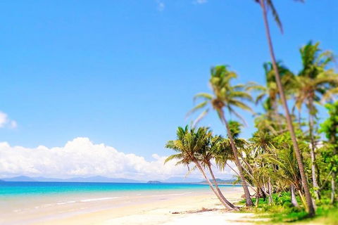 Airport Transfer - Cairns Airport To Mission Beach - Kingaroy Accommodation 1