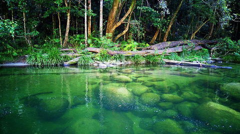 Cairns Adventure Package- 4 Tours In 3 Days! - Kingaroy Accommodation 6