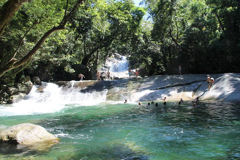 Cairns Adventure Package- 4 Tours In 3 Days! - Kingaroy Accommodation 7