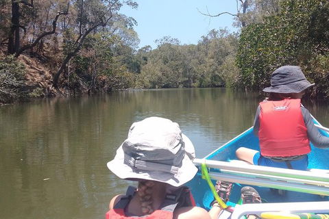 Noosa Hinterland Scenic Canoe Tour - Kingaroy Accommodation 1