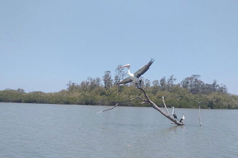 Noosa Hinterland Scenic Canoe Tour - Kingaroy Accommodation 5