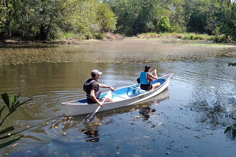 Noosa Hinterland Scenic Canoe Tour - Kingaroy Accommodation 6