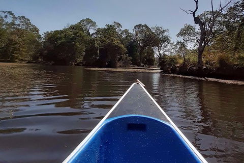 Noosa Hinterland Scenic Canoe Tour - Kingaroy Accommodation 3