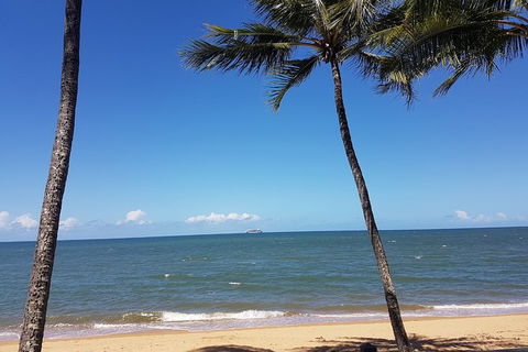 Private Transfers - Cairns Airport To Palm Cove - Kingaroy Accommodation 8
