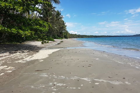 Private Transfers - Cairns Airport To Palm Cove - Kingaroy Accommodation 1