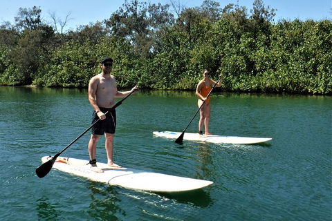 Paddle Board Hire In Surfers Paradise - Kingaroy Accommodation 2