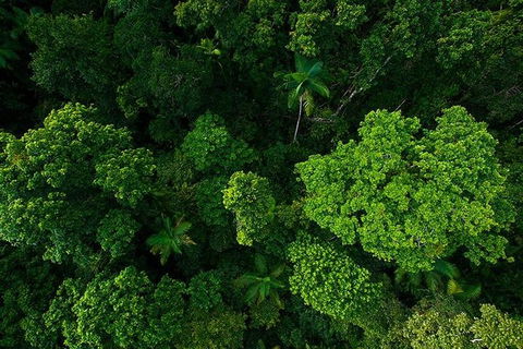 Cairns & Port Douglas All-Inclusive 7 Days Touring Package - Kingaroy Accommodation 3