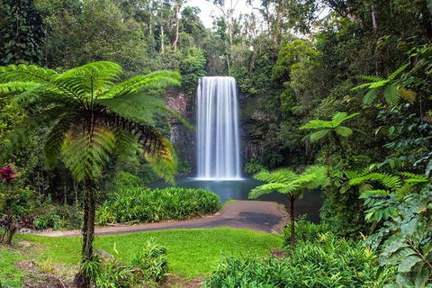 Cairns & Port Douglas All-Inclusive 7 Days Touring Package - Kingaroy Accommodation 5