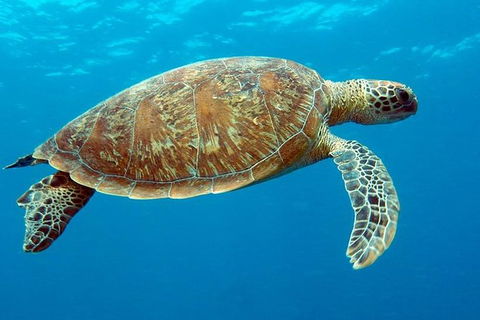 Cairns & Port Douglas All-Inclusive 7 Days Touring Package - Kingaroy Accommodation 1