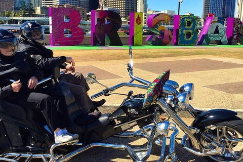 Unique Vehicle Tour Around Brisbane - Kingaroy Accommodation 3