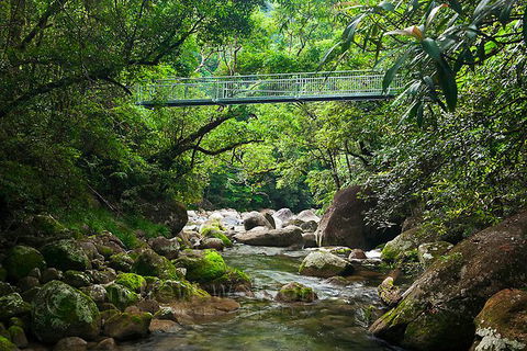 SHUTTLE - Mossman Gorge & Cooya Beach From Port Douglas (Return Transfer) - Kingaroy Accommodation 4