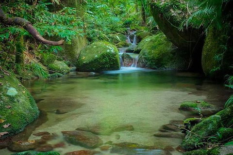 SHUTTLE - Mossman Gorge & Cooya Beach From Port Douglas (Return Transfer) - Kingaroy Accommodation 2