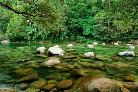 SHUTTLE - Mossman Gorge & Cooya Beach From Port Douglas (Return Transfer) - Kingaroy Accommodation 3