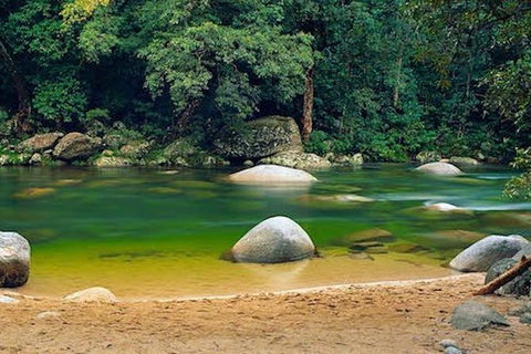 SHUTTLE - Mossman Gorge & Cooya Beach From Port Douglas (Return Transfer) - Kingaroy Accommodation 1