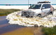 Full-Day Moreton Island 4x4 Sightseeing Tour - thumb 5
