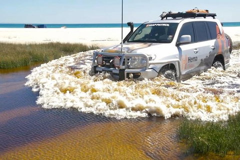 Full-Day Moreton Island 4x4 Sightseeing Tour - Kingaroy Accommodation 5