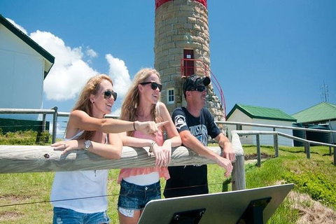 Full-Day Moreton Island 4x4 Sightseeing Tour - Kingaroy Accommodation 1