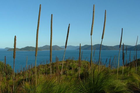 7-Day Private Sea Kayaking In Whitsundays - Kingaroy Accommodation 8